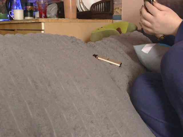 Ornotores_wers webcam