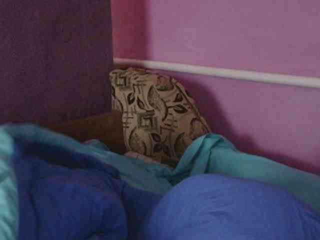 Ornotores_wers webcam