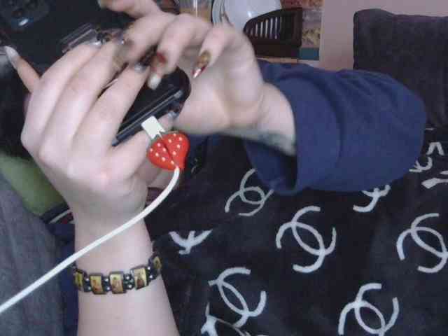 Ornotores_wers webcam