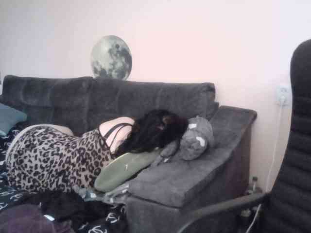 Ornotores_wers webcam