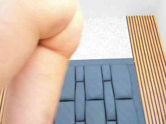 candela-collins webcam