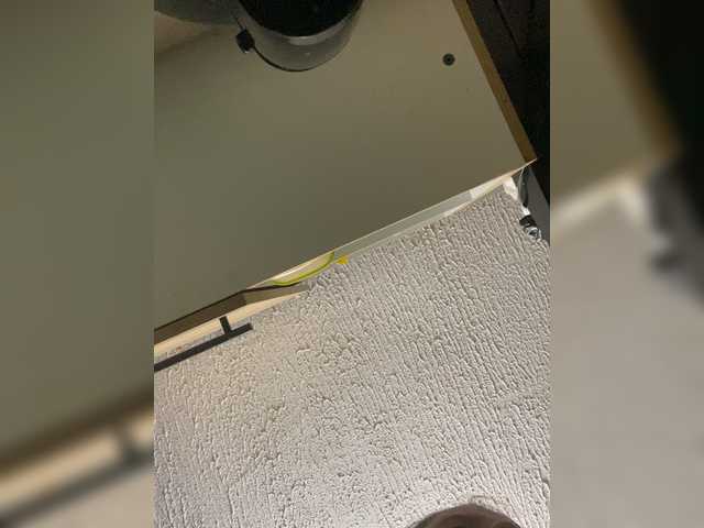 Angellx's BongaCams show and profile