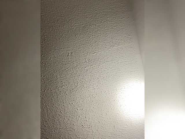 Angellx's BongaCams show and profile