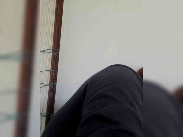 Angellx webcam