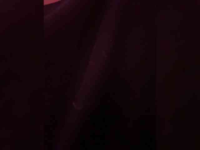 Angellx webcam