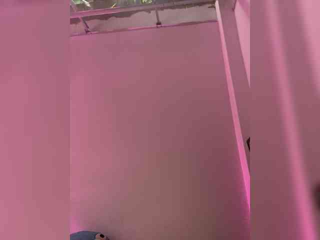Angellx webcam