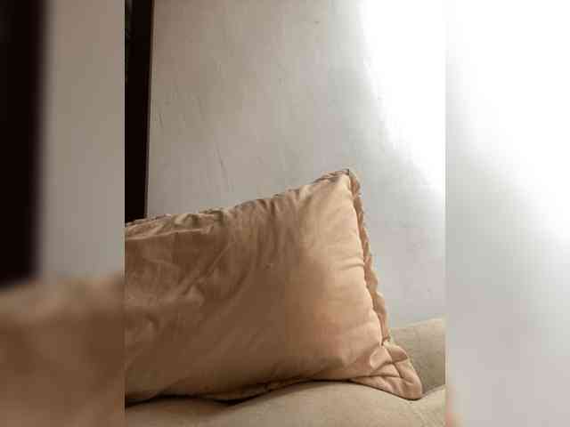 Angellx webcam