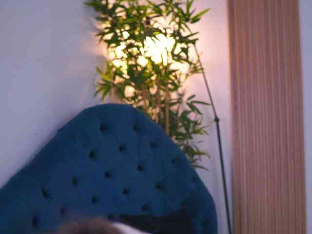 LesaisMore webcam