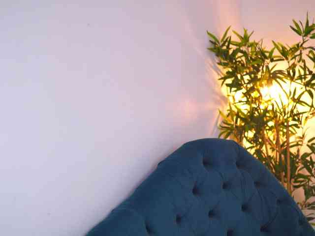 LesaisMore webcam