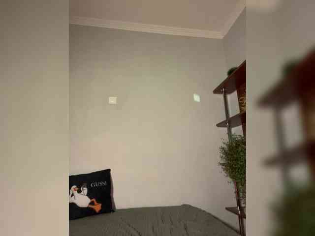 Saliss1 webcam