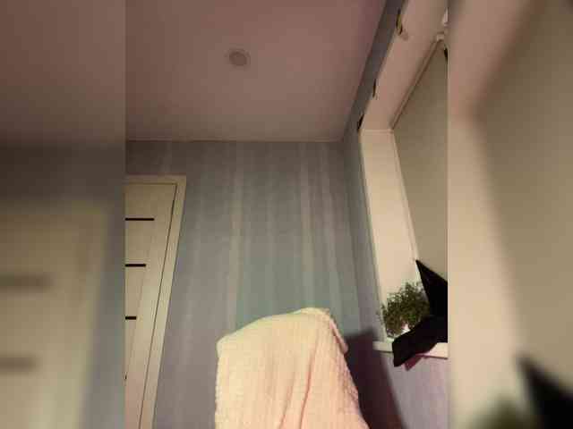 Saliss1 webcam