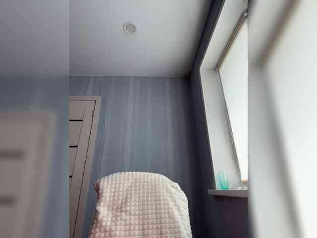 Saliss1 webcam