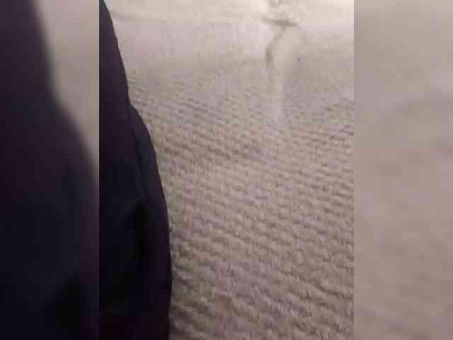 Oks---Rus webcam