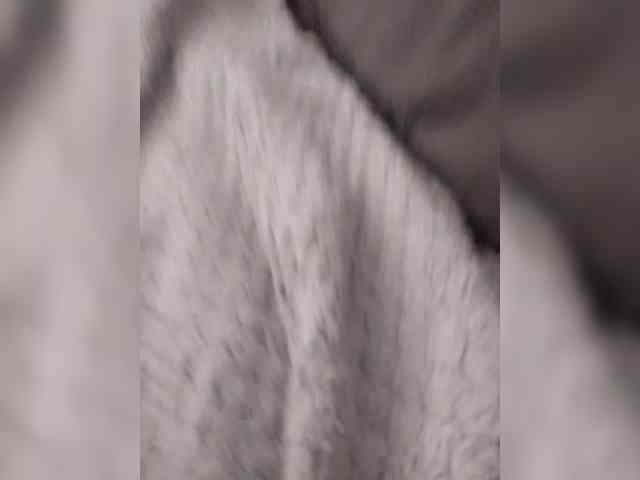 Oks---Rus webcam