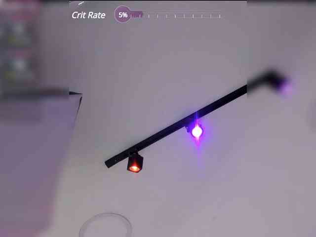 NickyCole webcam