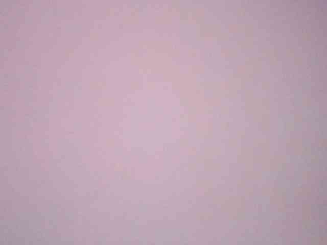 adri007 webcam