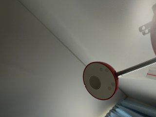 EvanShell1 Porn Show