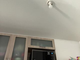 EvanShell1 Porn Show