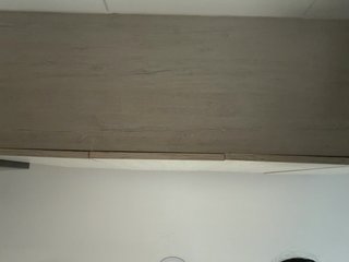 EvanShell1 Porn Show