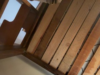 EvanShell1 Porn Show