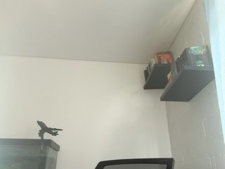 EvanShell1 Porn Show