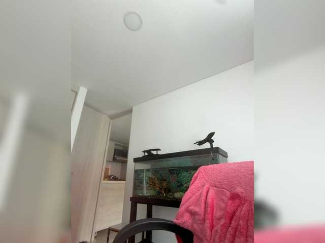 EvanShell1's BongaCams show and profile