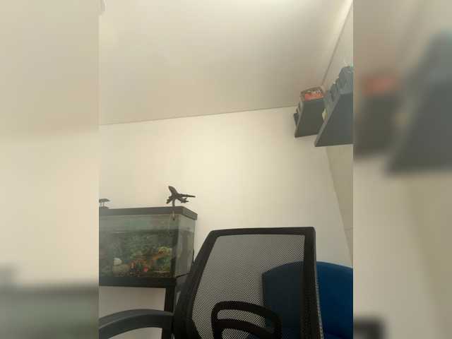 EvanShell1's BongaCams show and profile