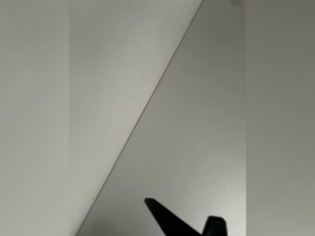 EvanShell1's BongaCams show and profile