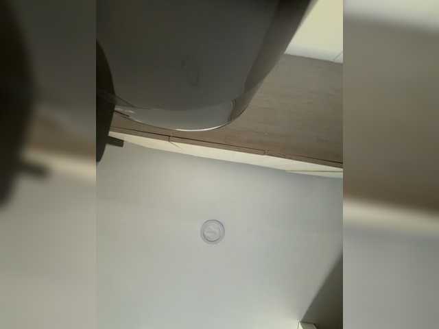 EvanShell1 from BongaCams is Freechat