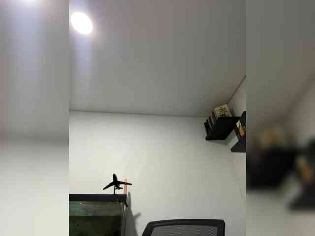 EvanShell1 webcam