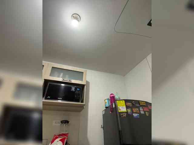 EvanShell1 webcam