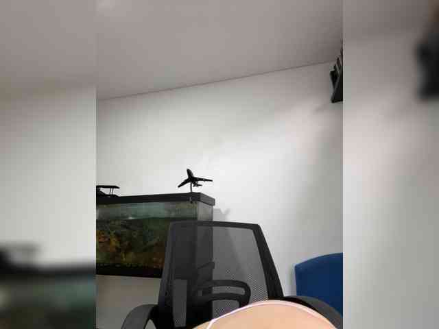 EvanShell1 webcam