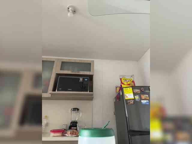 EvanShell1 webcam