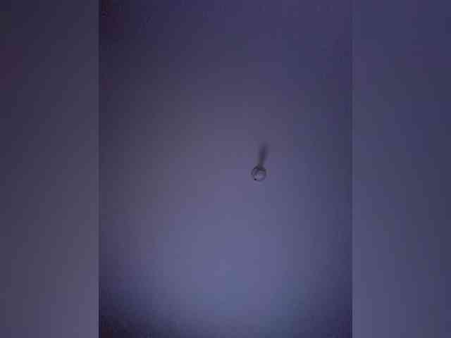 EvanShell1 webcam