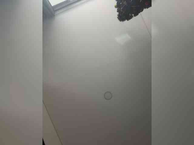 EvanShell1 EvanShell1