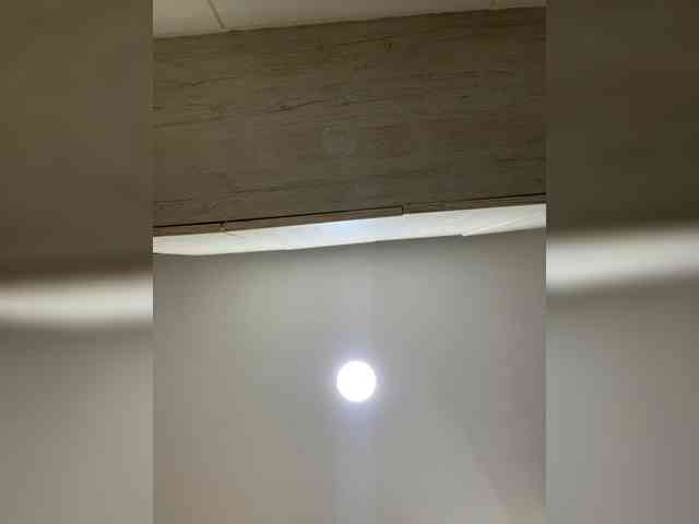 watch live sex EvanShell1
