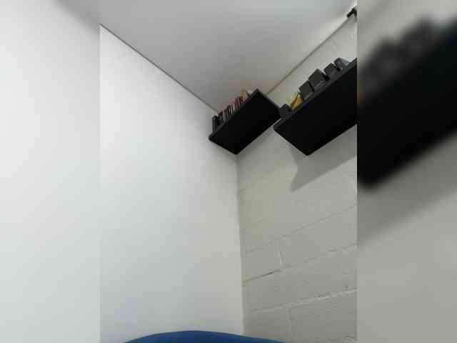 EvanShell1 webcam