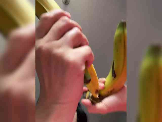 EvanShell1 webcam