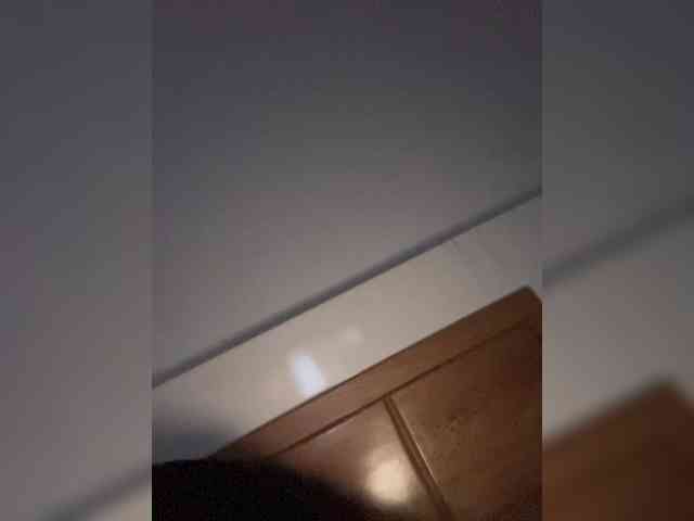 EvanShell1 webcam