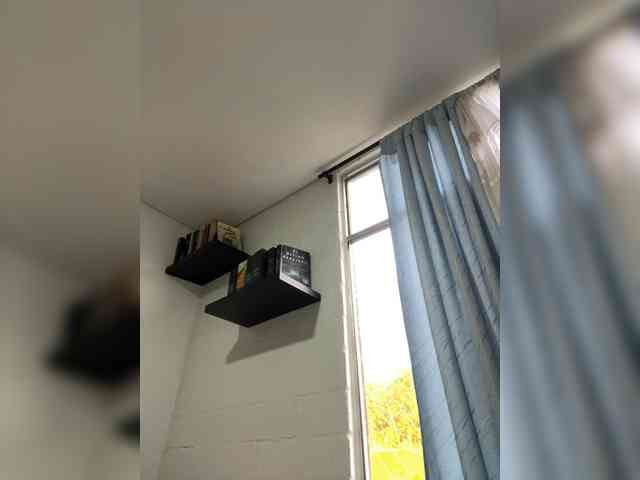 EvanShell1 webcam