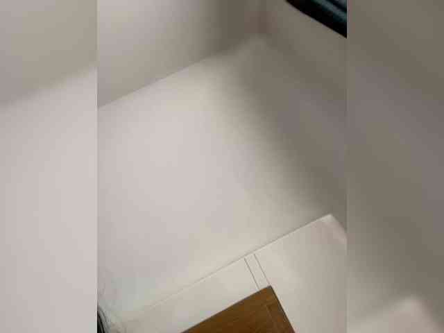 EvanShell1 webcam