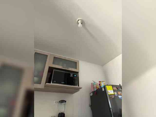 EvanShell1 webcam