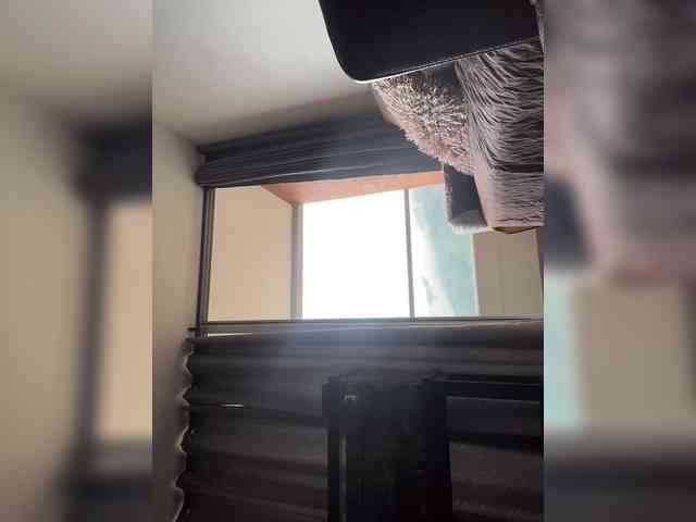 EvanShell1 webcam