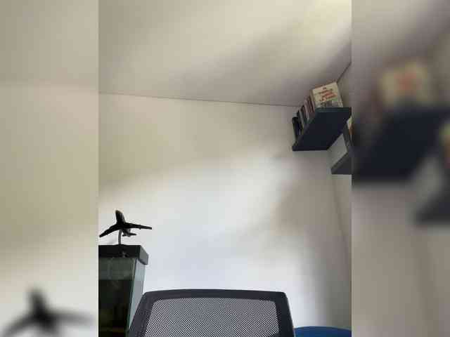 EvanShell1 webcam