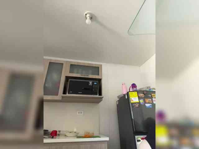 EvanShell1 webcam