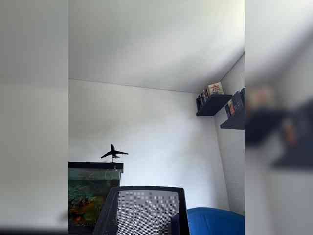 EvanShell1 webcam