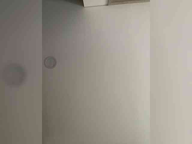 EvanShell1 webcam