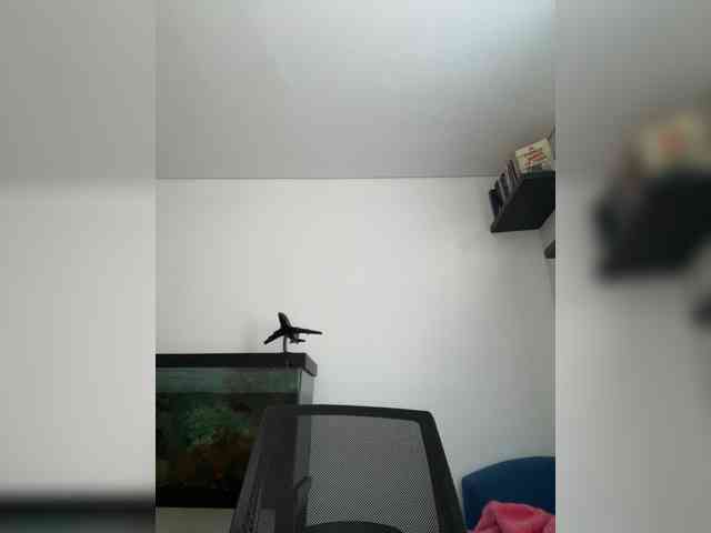 EvanShell1 webcam