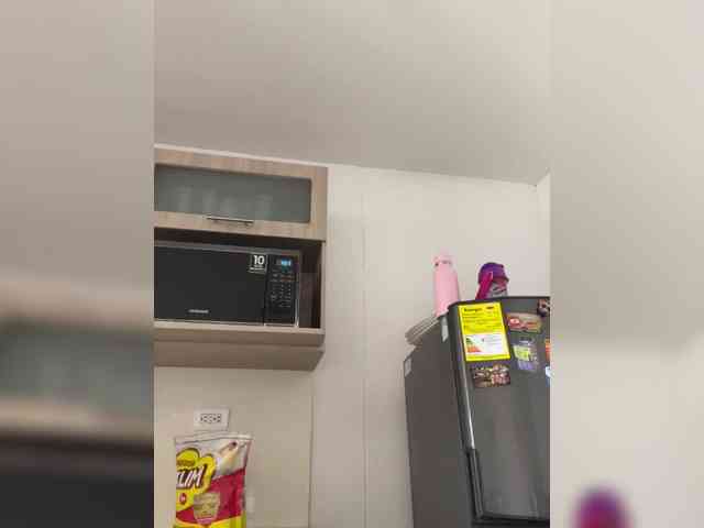 EvanShell1 webcam