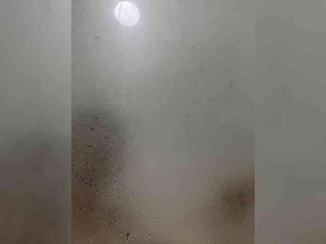 EvanShell1 webcam